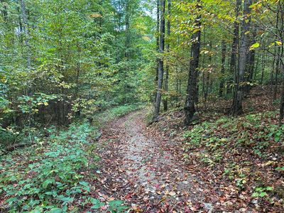 V/l Par K Beaver Trl, Mancelona, MI, 49659