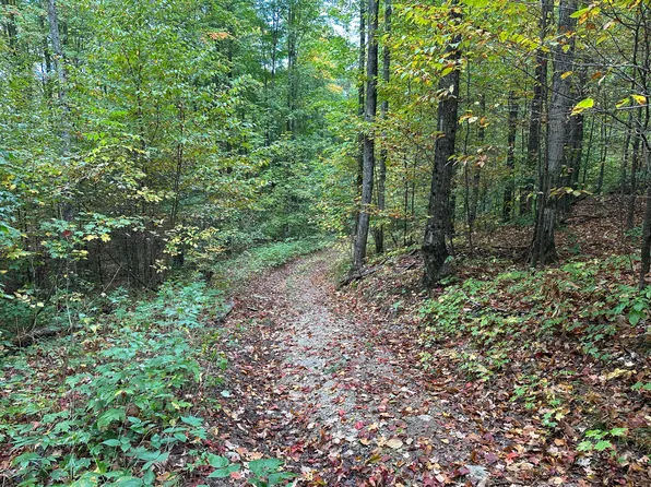 V/l Par K Beaver Trl, Mancelona, MI 49659