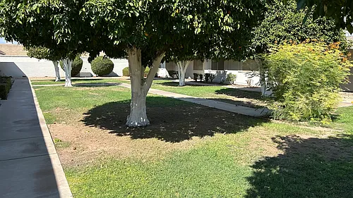 10620 W Coggins Dr Photo 1