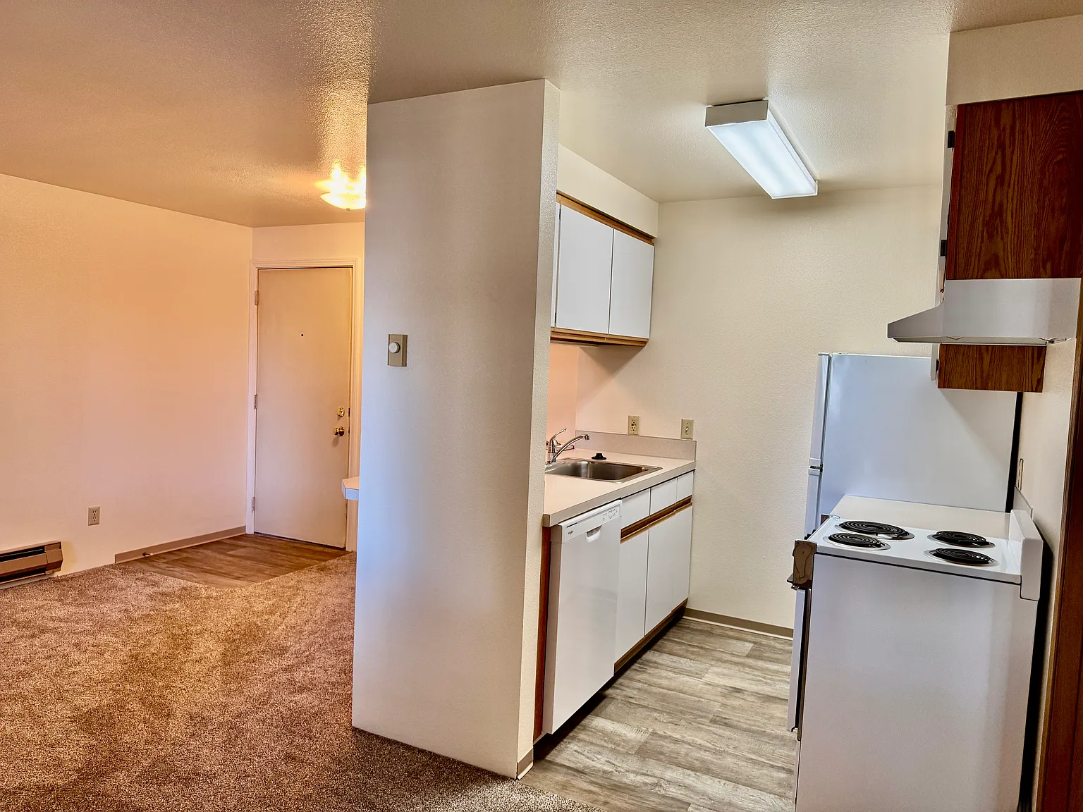 1 bed, 515 sqft, $925 — Photo 4