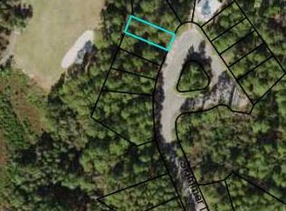 158 Skimmer Dr, Carrabelle, FL 32322