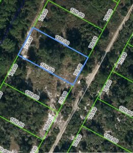 3122 Rutledge Ave, Lake Placid, FL, 33852