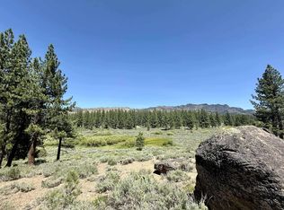 4769 Dixie Valley Rd, Chilcoot, CA 96105