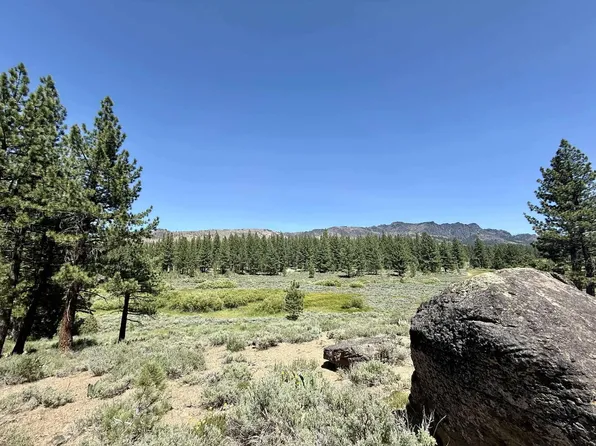 4769 Dixie Valley Rd, Chilcoot, CA 96105