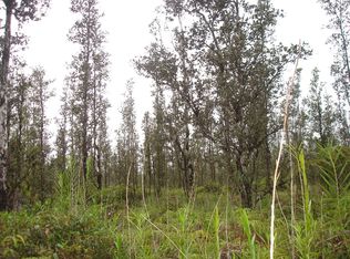 Road 3 Hopue LOT 3150, Mountain View, HI 96771