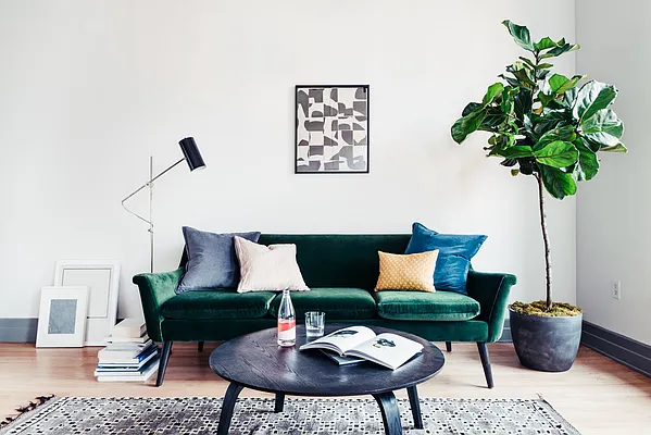 Rented by Two Trees | media 8