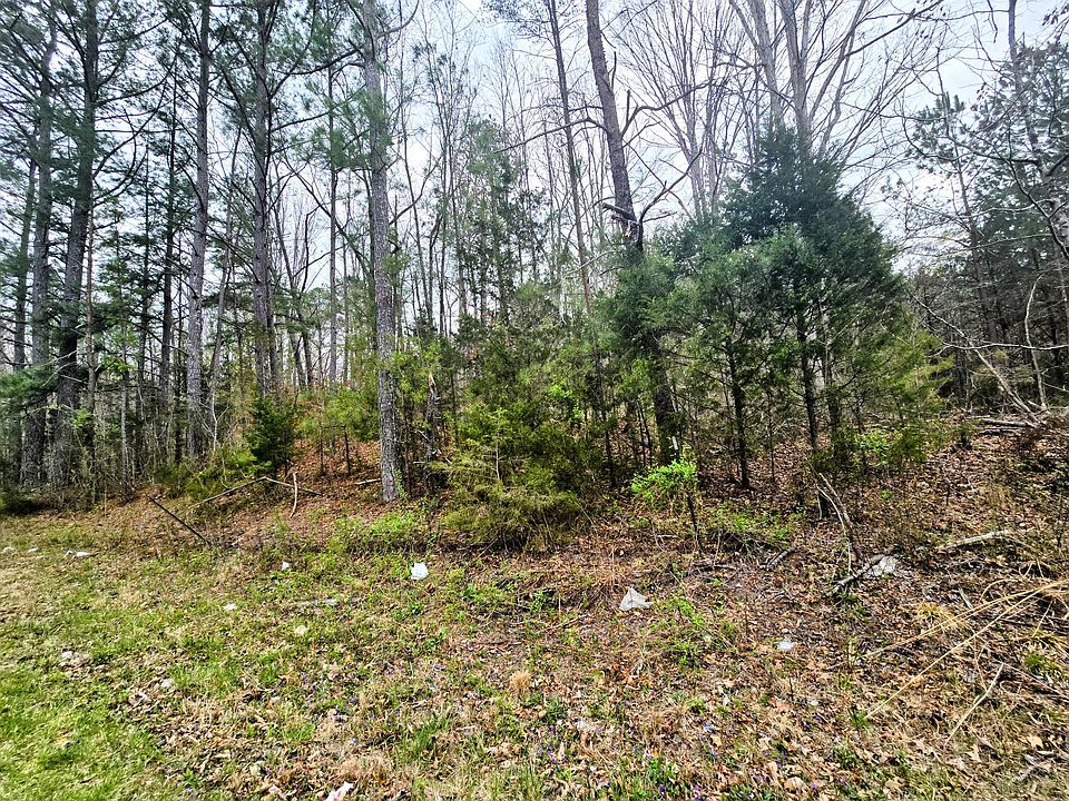 2nd image of 226 County Road 181