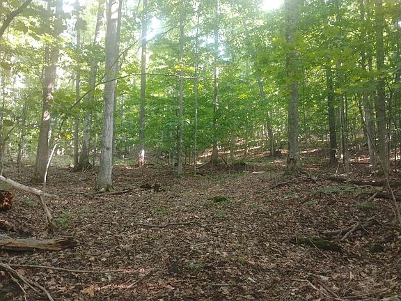 3rd image of 6383 Lee Rd