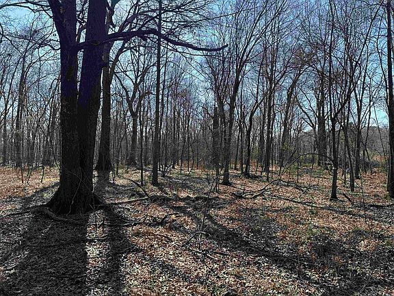 5th image of 0 Holman Ln