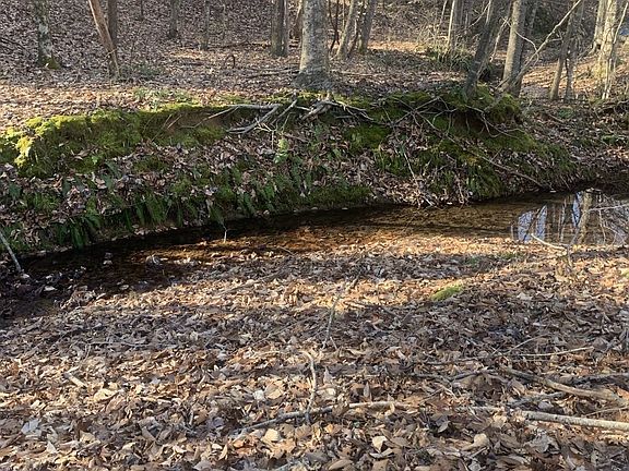2nd image of 1252 Kelly Rd