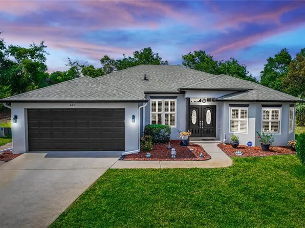 825 White Birch Ct, Orange City, FL 32763