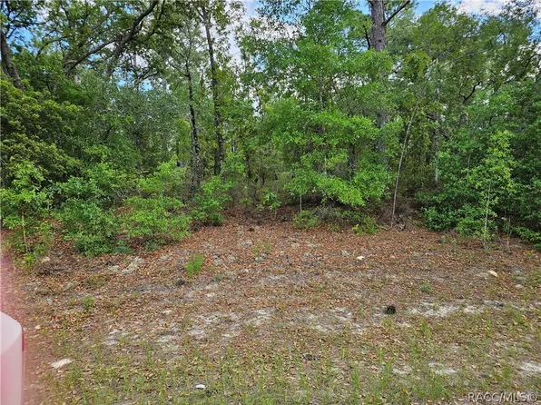 1681 W Skyline Dr, Citrus Springs, FL 34434