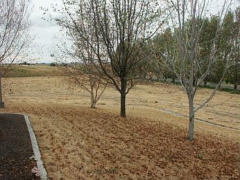 3rd image of 13011 Road 4 SE