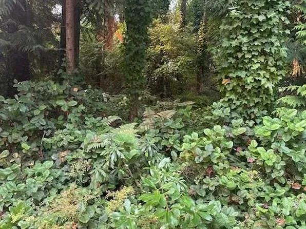 156&160 Harlech Rd, Qualicum Beach, BC V9K 1G9