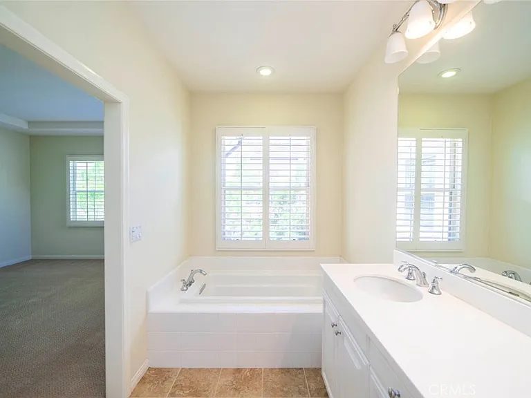 33 Bromeliad — Photo 27