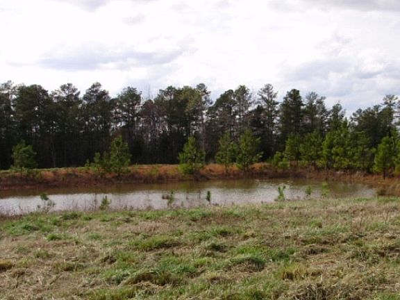 Pond View