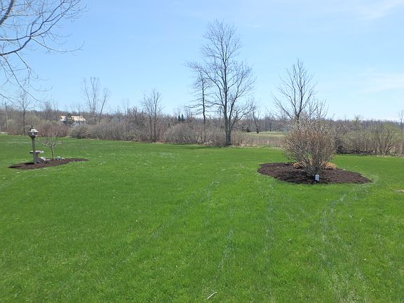 View of front yard