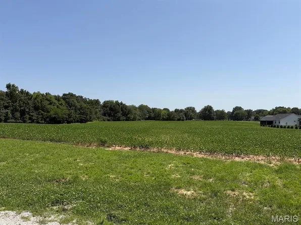 805 Wedgewood Ln, Trenton, IL 62293