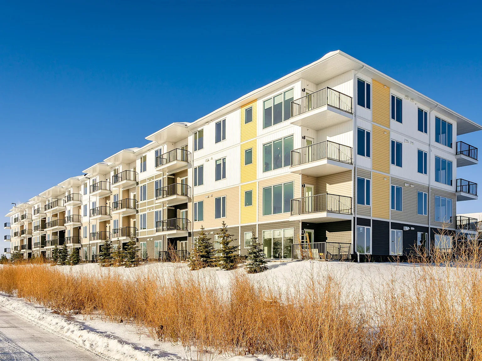 Solis at Giroux — Photo 4