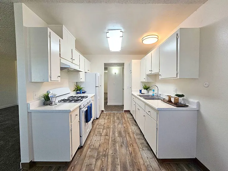 Shady Terrace Apartments! — Photo 10