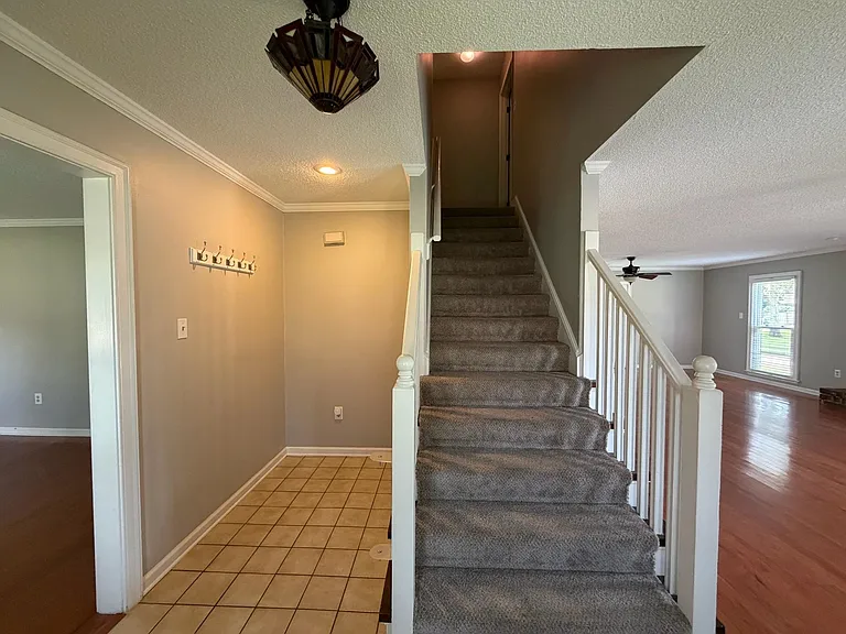 2910 Foster Dale Cv — Photo 9