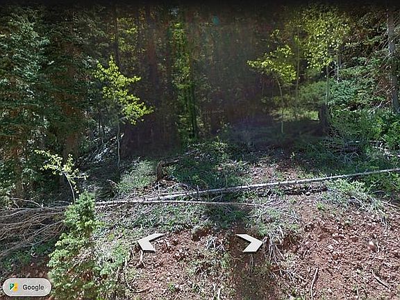 Cleared Area on Lot