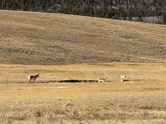 3rd image of 3 Ranch LOT 3