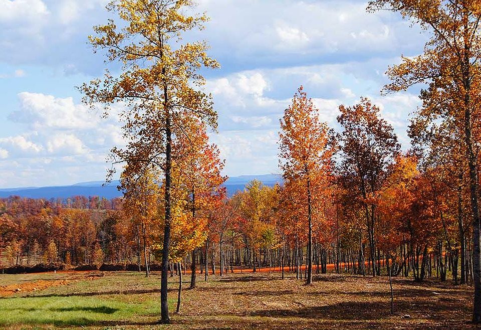 Beautiful Fall Colors