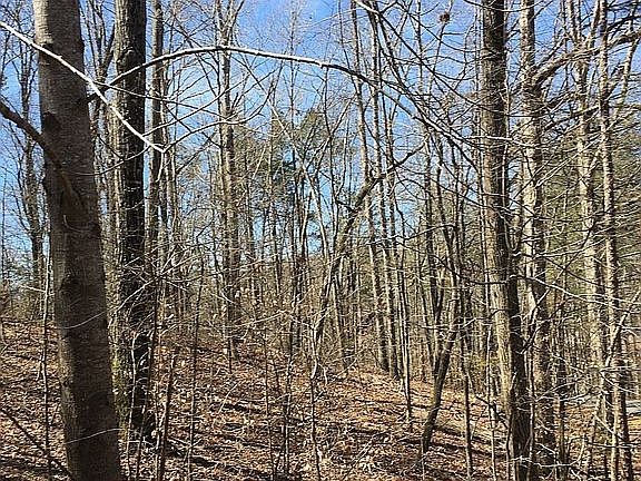 2nd image of 505 N Arrowhead Dr