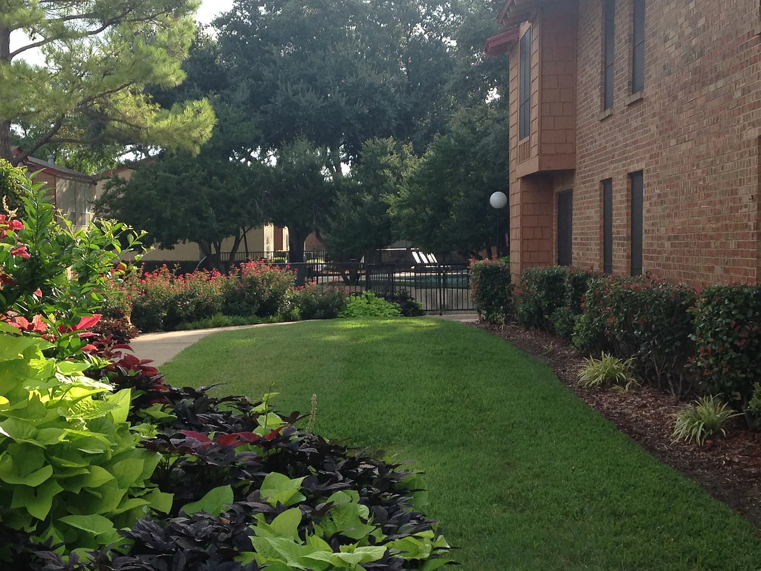 Sun Colony — Photo 2