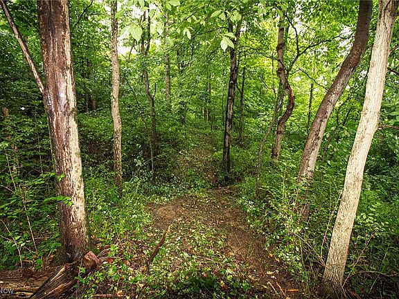 5th image of LOT 3 Meadowood Trl