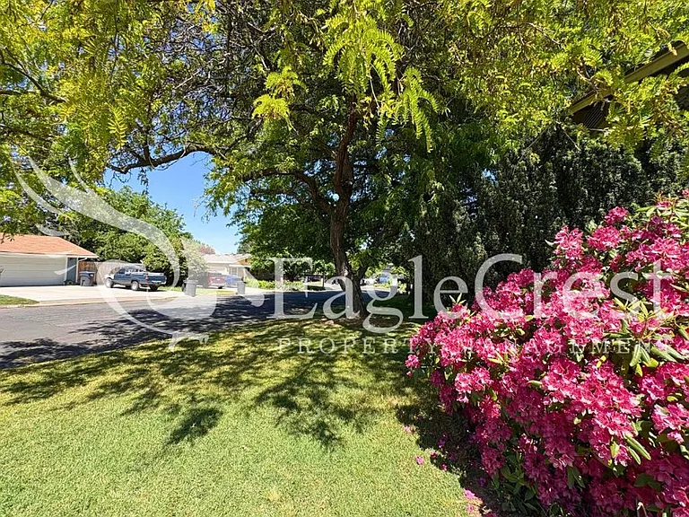 924 Shasta Dr — Photo 5