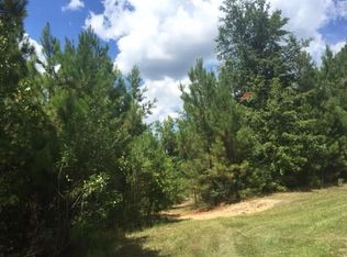 137 Lakeloch Dr, Lizella, GA 31052