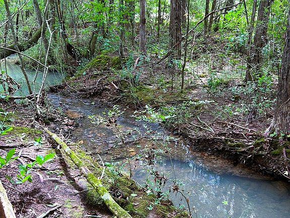 5th image of 5 Euchee Rd