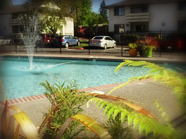 Willow Creek Apartments — Photo 7