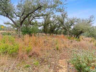 301 Lonesome Trl, Driftwood, TX, 78619