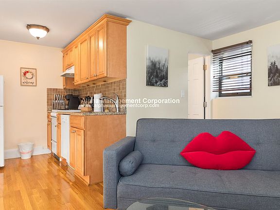 14 Cumberland St. #1 - Furnished Boston - Back Bay Shared Un