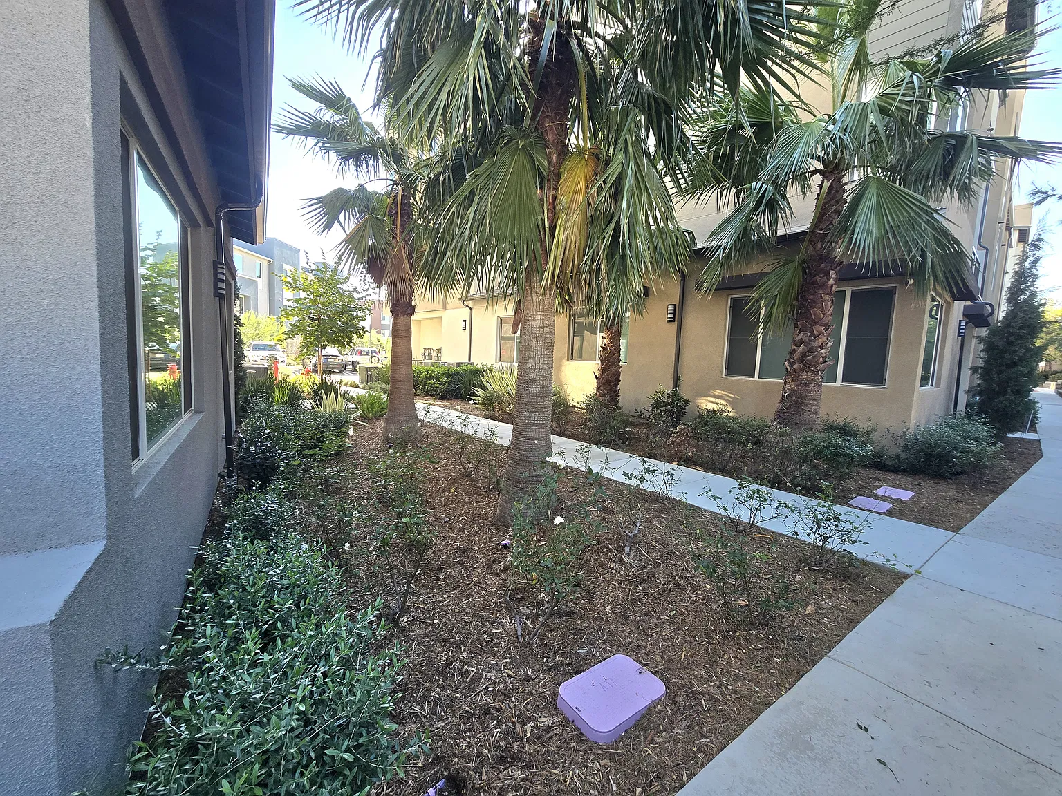 2 bed, 1393 sqft, $3,000 — Photo 3