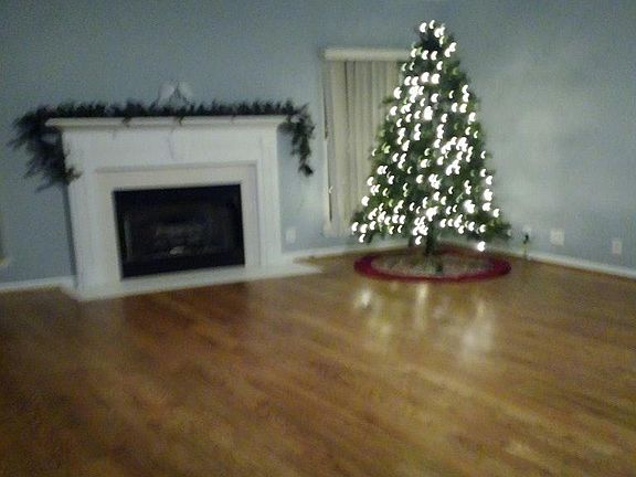 Home for the holidays