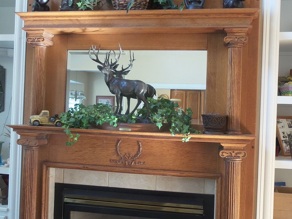 Living room fireplace