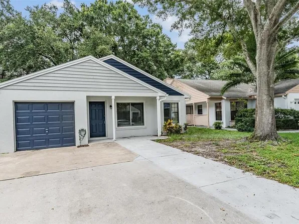 644 Bellingham Pl, Palm Harbor, FL 34684