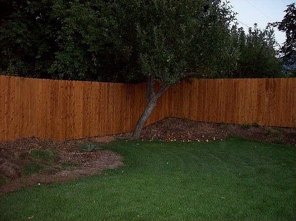 Big, private back yard