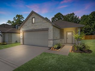 12239 Danza Dr, Willis, TX 77318