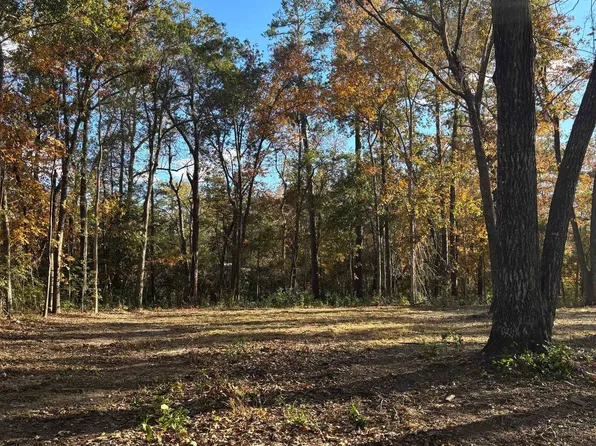 292 Pineneedle Circle, Johnsonville, SC 29555