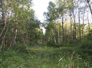 12th St SW, Backus, MN 56435