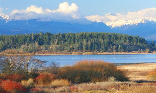 view across the street
