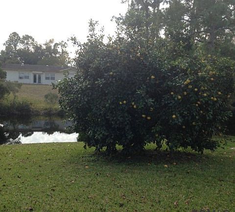 2nd image of 34 Flamingo Dr
