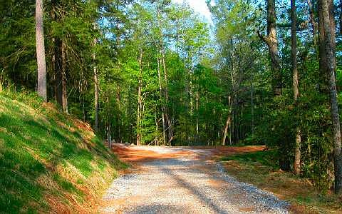1st image of Township Road 1 Black Bear Mountain Trl