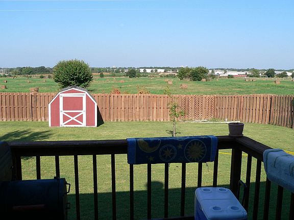 Looking out back in summer