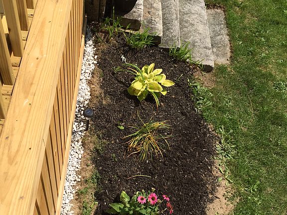 Garden and granite steps
